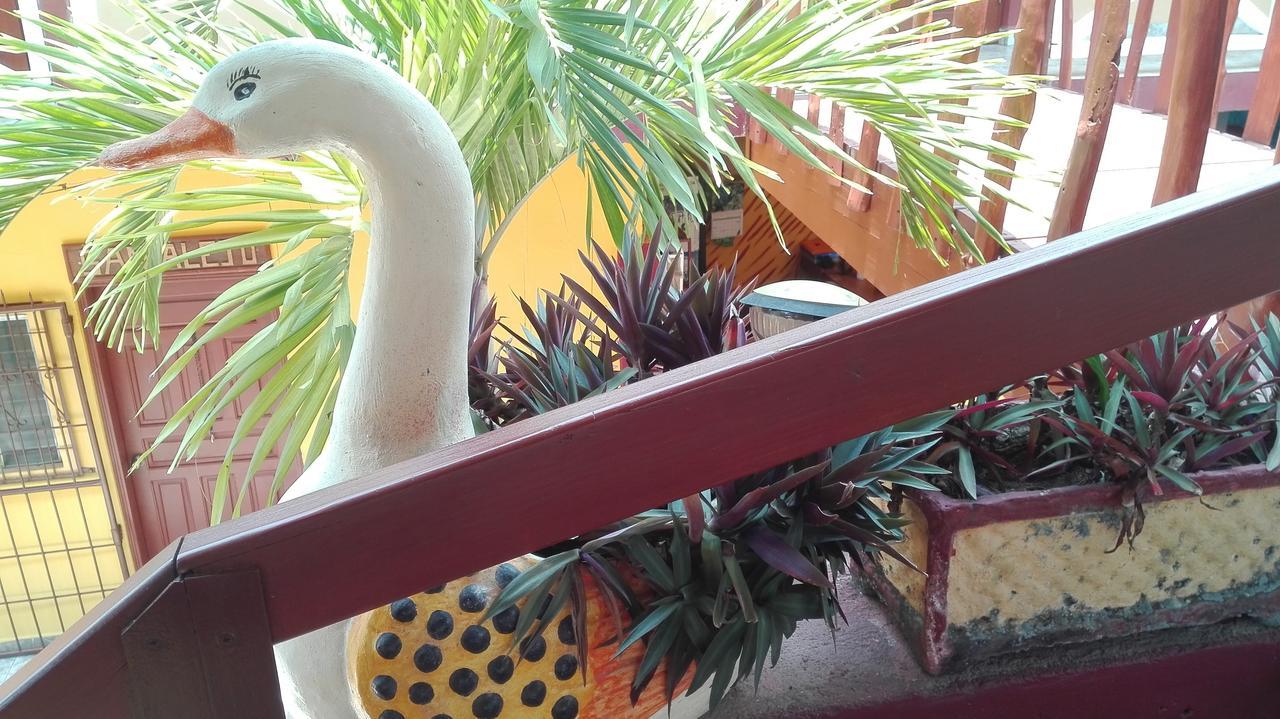 Hotel Bahia Tela Zewnętrze zdjęcie